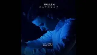 Wallem&MuzEksperiment2025 - Её Харизма #music #remix #popular #funny #контент #2025 #2025shorts