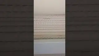 passando na calandra