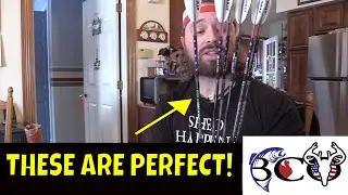 custom arrows have arrived | bco bear approach giveaway!! |