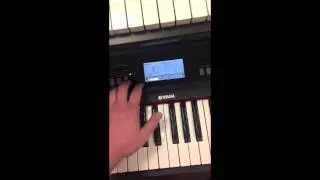 Woodsy's Music: Recording with the Yamaha NPV80