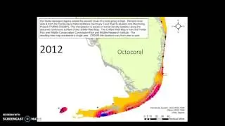Octocoral - Density Hot Spots of Species Percent Cover