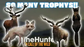 The BEST Video of The NEW Scotland Map  |  theHunter Call of The Wild