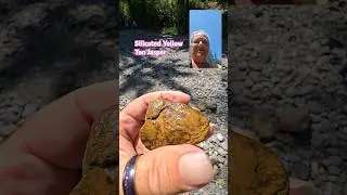 Agatized Yellow Tan Jasper #shorts #agate #jasper