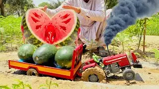 most creative scientific idea | mini tractor plowing for the cultivation of watermelon