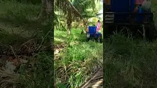 Powerhouse 4-Stroke Engine Powered Knapsack / Backpack Agri-Sprayer Part 7