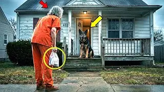 Released After 25 Years in Prison, An Old Woman Comes Home &mdash; The Dog Waiting Inside Shocks Her!