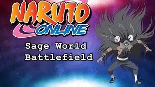 Sage World BattleField 11/17 One shot....