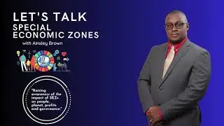 Lets Talk Special Economic Zones: Fiscal Incentives as Market Signaling