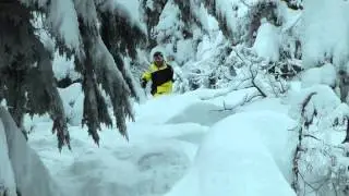Trace Cooke's Mid-Season Edit