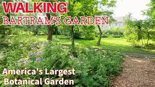 Walking and exploring || BARTRAM'S GARDEN || AMERICA'S OLDEST botanical garden || Southwest Philly