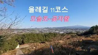 제주도 올레길 걷기 11코스 17km