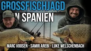 Die Großfischjagd - Karpfenangeln in Spanien