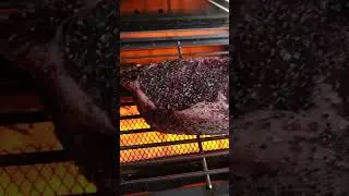 ТЕСТИРОВАНИЕ ЗОны ОБЖАРКИ MONUMENT GRILLS! | Fatty's Feasts #барбекю #monumentgrills #стейк