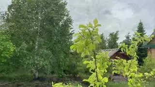 Re & Ri - Пошёл дождичек