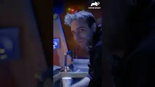 Rick tenta desviar Jake