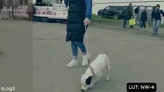 Hemswell Carboot lut test hevc