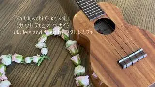「Ka Uluwehi O Ke Kai」（カ ウルヴェヒ オ ケ カイ）