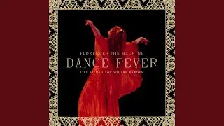 My Love (Live At Madison Square Garden)