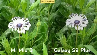 Mi Mix 3 vs Samsung Galaxy S9 Plus Camera Comparison || #MiMix3 #GalaxyS9Plus #TECHBUKHAR