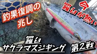 今羅臼が熱い【羅臼サクラマスジギング第2戦】釣果復調の兆し#羅臼 #サクラマスジギング 