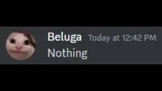 When hecker met beluga