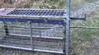 Homemade Fox trap