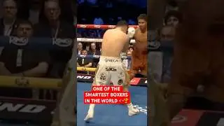 SHAKUR STEVENSON EXPERT LEVEL PUNCHES #boxing #highlights #fight