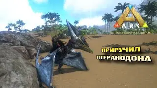 Первый летающий динозавр в Ark Ultimate Edition Mobile! 
