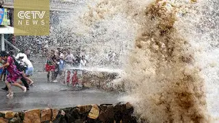 Typhoon Soudelor: 14 dead and 4 missing in Zhejiang