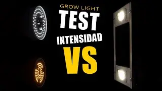 COBS VERSUS GALPONERAS | test definitivo