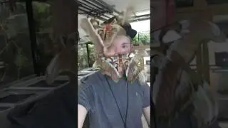 Attacus caesar with Adrian Kozakiewicz