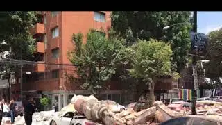 Fotos y video temblor 7 1 México 19 09 2017