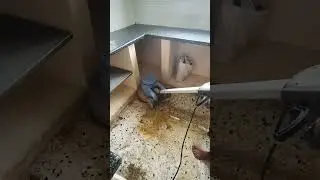 Old Mosaic / Terrazzo Tiles Deep Cleaning | Urban Home Service Bengaluru #urbanhomeservice