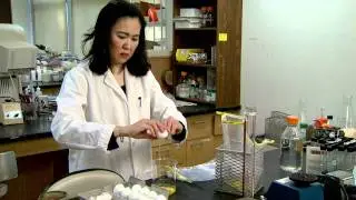 Rapid Salmonella Test (University of Missouri)