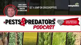 Pests & Predators Podcast, Ep 12: Get a jump on grasshoppers