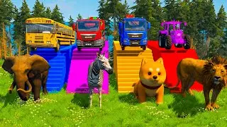 Double Flatbed Trailer Tractor rescue Bus - Cars Racing - Bus stuck Rails vs Trains