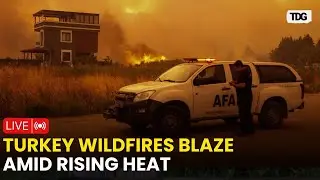 Turkey Wildfire: Heatwave Scorches Mediterranean in Early Seasonal Shift | Turkey | Istanbul