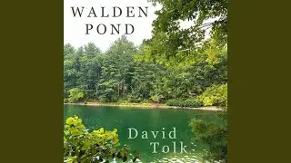 Walden Pond