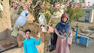 Aj Me Ghar Me Lekar Aya Tota🦜🦜 Iqra Vlogs Village My Daily Life Routine