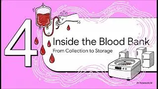 The Journey of a Blood Donation
