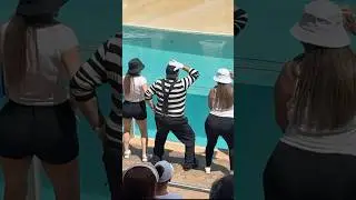 All this remove the bad mood 🤣 Tom the mime SeaWorld #seaworldmime #funny #comedy #fun #viral