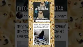 #мем#мемы#мемчи#shorts#топ#вреки выкладывать новые мемы?