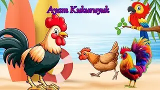 AYAM KUKURUYUK ❤️ KALAU KAU SUKA HATI ❤️ LAGU ANAK INDONESIA 🇮🇩 #laguanak #laguanakpopuler