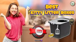 ✅ Top 5: 📦 Best Kitty Litter Boxes [ Best Automatic Litter Boxes ] { Reviews }