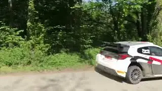 WRC Croatia Rally 2024 Test13