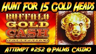 Hunt for 15 Gold Heads Ep. #252, Buffalo Gold Cash Collection from the Palms Casino in Las Vegas!