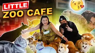 Little Zoo Cafe Bangkok