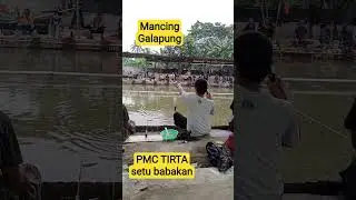 strike ikan mas! pemancingan galapung setu babakan #fishing #mancing #mancingmania