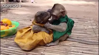shally give a sweet kiss to Janny