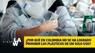 Prohibir plásticos de un solo uso, ¿tarea pendiente en Colombia?